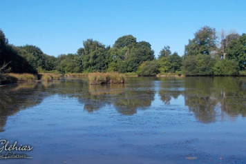 Lake William Island is Completed! - 5