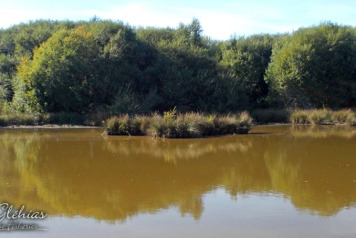 Lake William Island is Completed! - 6