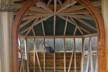 Cabin Build Pt 7. Climbing the Walls! - 4