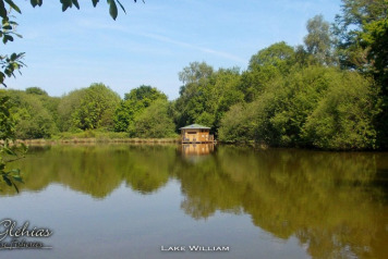 Cabin Now Moored in Stump Lagoon! - 1