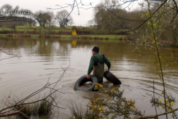 Lilli-pad Islands - 1