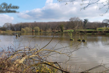 Lilli-pad Islands - 2