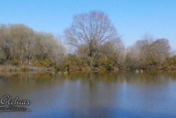 Lilli-pad Islands - 3