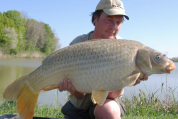 A Quick Day Session - 1