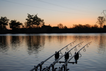 Over this summer - 5