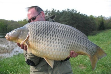 Great article - 4 years at Boux - 2