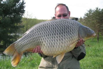 Great article - 4 years at Boux - 3