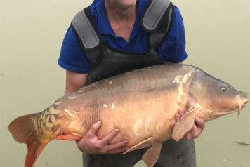 Additional Stocking - 4