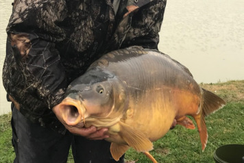 Additional Stocking - 3