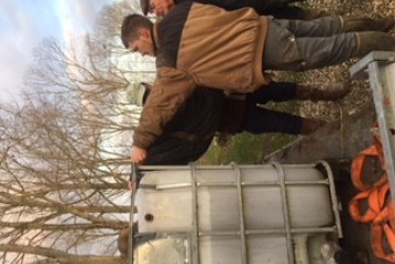 Additional Carp Added  - 1