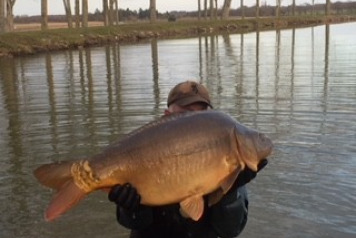 Additional Carp Added  - 2