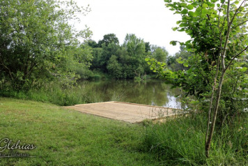 Two More Decked Swims Go In. - 4