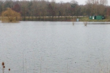 Beaurepaire Water Levels - 3