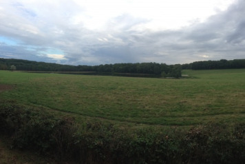 Weed Development - 1