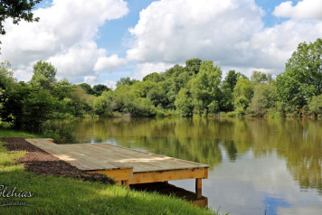 Big Swim Number 3 Is In. - 2