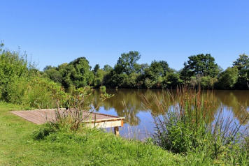 All Swims Finished on The Willow Bank - 1