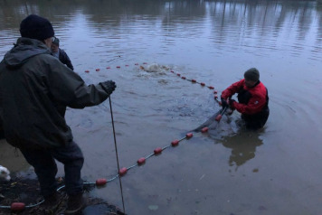 Netting and Stock Management - 2