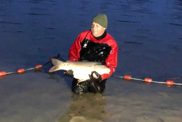 Netting and Stock Management - 8