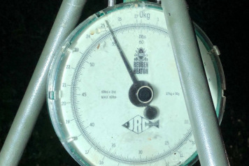 Netting and Stock Management - 4