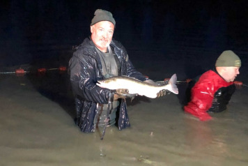 Netting and Stock Management - 7