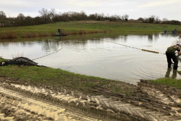 New Arrivals For 2020 - 1