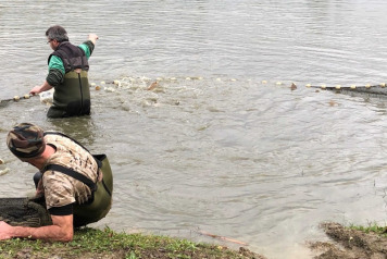 New Arrivals For 2020 - 1