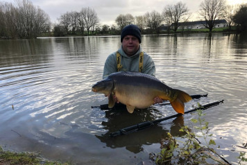 New Arrivals For 2020 - 4