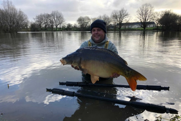 New Arrivals For 2020 - 6