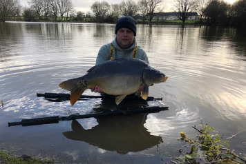 New Arrivals For 2020 - 8