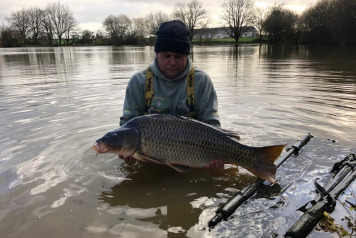 New Arrivals For 2020 - 7