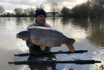 New Arrivals For 2020 - 5