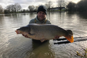 New Arrivals For 2020 - 3