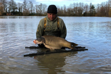 New Arrivals For 2020 - 7