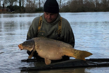 New Arrivals For 2020 - 3