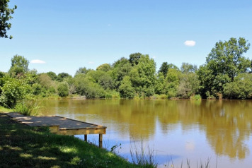 All Swims Finished on The Willow Bank - 3