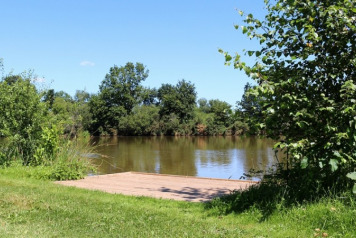 All Swims Finished on The Willow Bank - 2