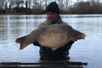 New Arrivals For 2020 - 2