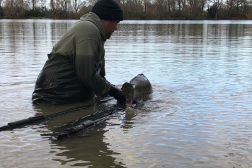 New Arrivals For 2020 - 5