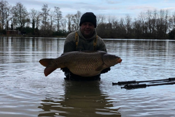 New Arrivals For 2020 - 9