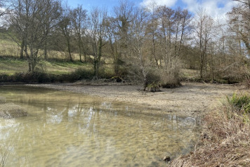 Tackling the poisson chat! - 1