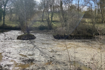 Tackling the poisson chat! - 2