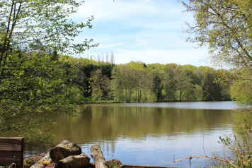 '14 & '15 Reviews - 1