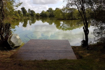 Update on the fishing  - 4