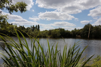 Update on the fishing  - 6