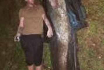 September so far - 1