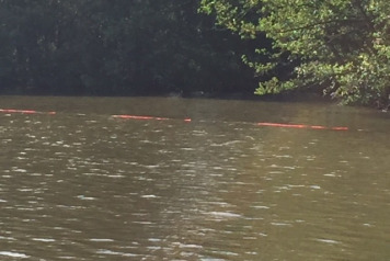 Out Of Bounds Area - 1