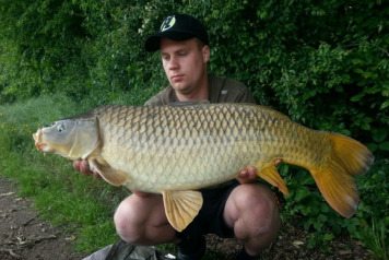 Over this summer - 6