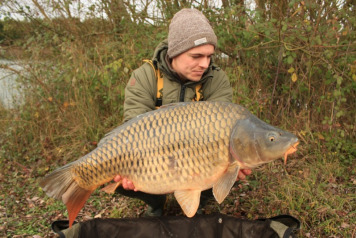 Additional Stocking - 1