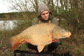 Additional Stocking - 4