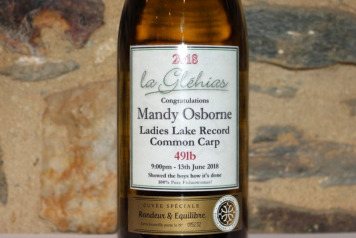 Mandy Makes Waves - 2